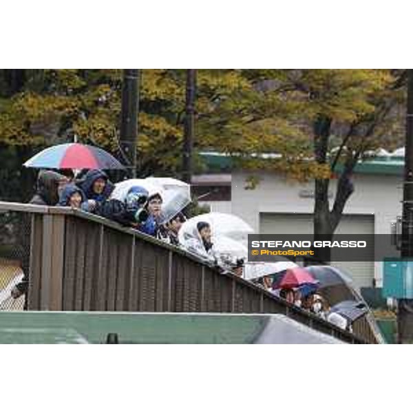 Morning track works at Fuchu racecourse racegoers watching the works out Tokyo,26th nov.2015 ph.Stefano Grasso