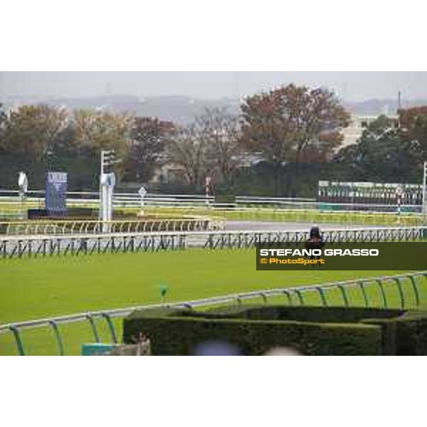 Morning track works at Fuchu racecourse Trip To Paris Tokyo,26th nov.2015 ph.Stefano Grasso