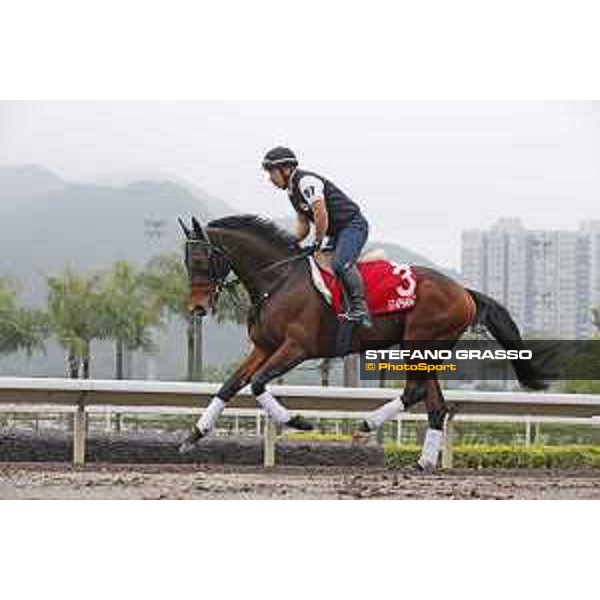 Longines Hong Kong International Races - morning track works at Sha Tin racecourse Staphanos Sha Tin racecourse,10th dec. 2015 ph.Stefano Grasso/Longines