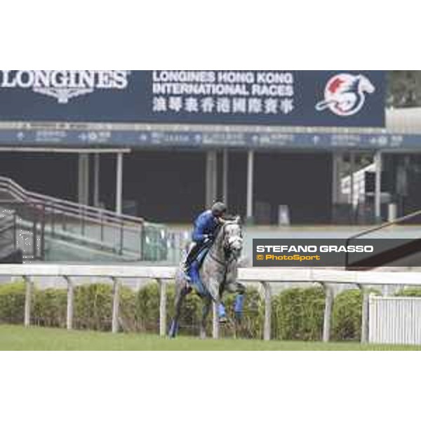 Longines Hong Kong International Races - morning track works at Sha Tin racecourse Danon Platina Sha Tin racecourse,10th dec. 2015 ph.Stefano Grasso/Longines