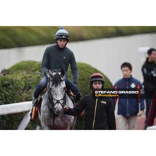 The 38th Japan Cup in association with Longines - morning track works Ryan Moore on Capri Tokyo - Fuchs racecourse, 22nd nov. 2018