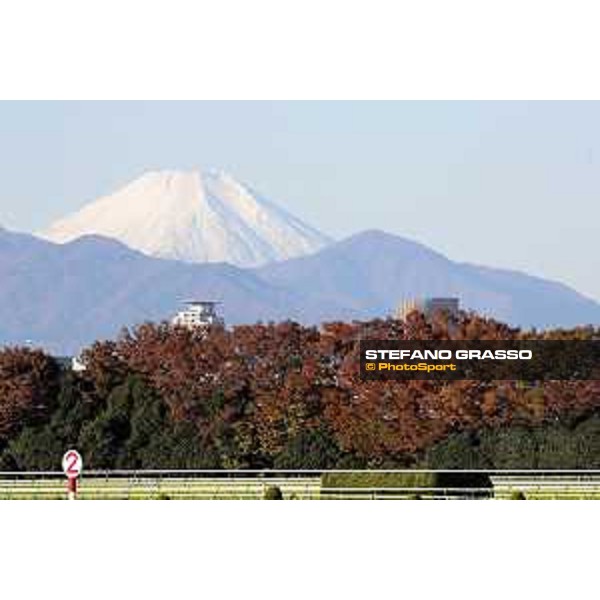 The 38th Japan Cup in association with Longines - Morning track works - The Fuji San Tokyo - Fuchu racecourse 23rd nov. 2018