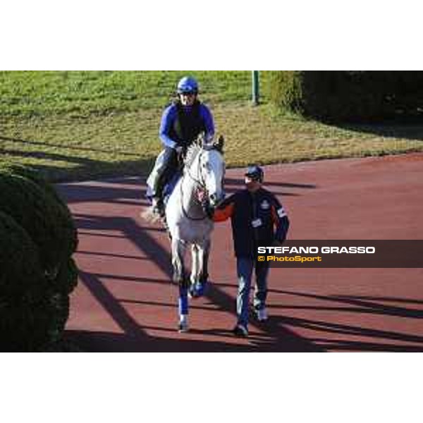 The 38th Japan Cup in association with Longines - Morning track works - Thundering Blue Tokyo - Fuchu racecourse 23rd nov. 2018