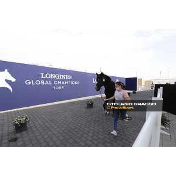 Vet Horse Inspection Dominator 2000 Z LGCT of Doha 2021 Al Shaqab, 03032021 ph.Stefano Grasso/LGCT