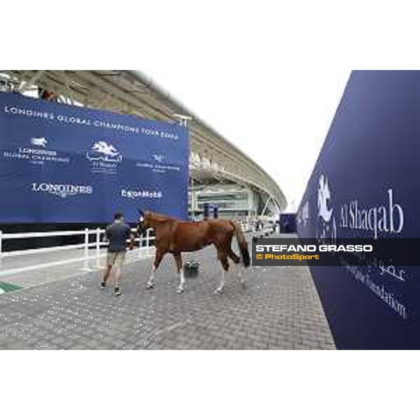 Vet Horse Inspection Jade v Bisschop LGCT of Doha 2021 Al Shaqab, 03032021 ph.Stefano Grasso/LGCT