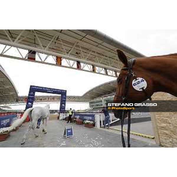 Vet Horse Inspection Vancouver Dreams LGCT of Doha 2021 Al Shaqab, 03032021 ph.Stefano Grasso/LGCT