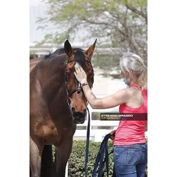 Vet Horse Inspection Baiguero LGCT of Doha 2021 Al Shaqab, 03032021 ph.Stefano Grasso/LGCT