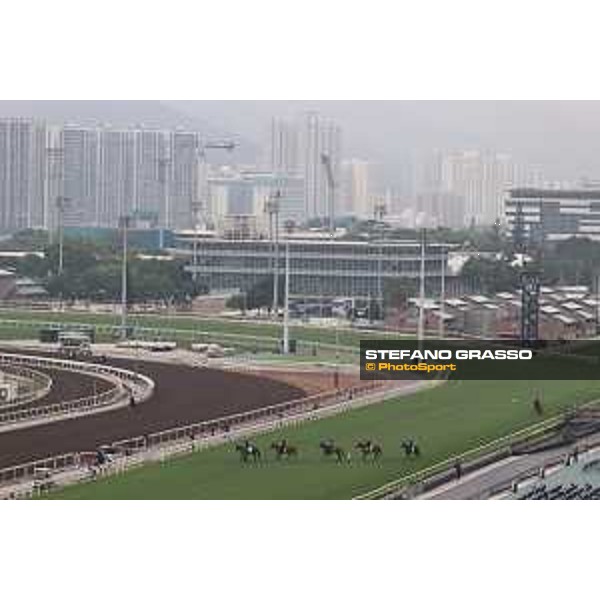 Longines Hong Kong International Races of Hong Kong - - Hong Kong, Sha Tin - 6 December 2023 - ph.Stefano Grasso/Longines Morning track works