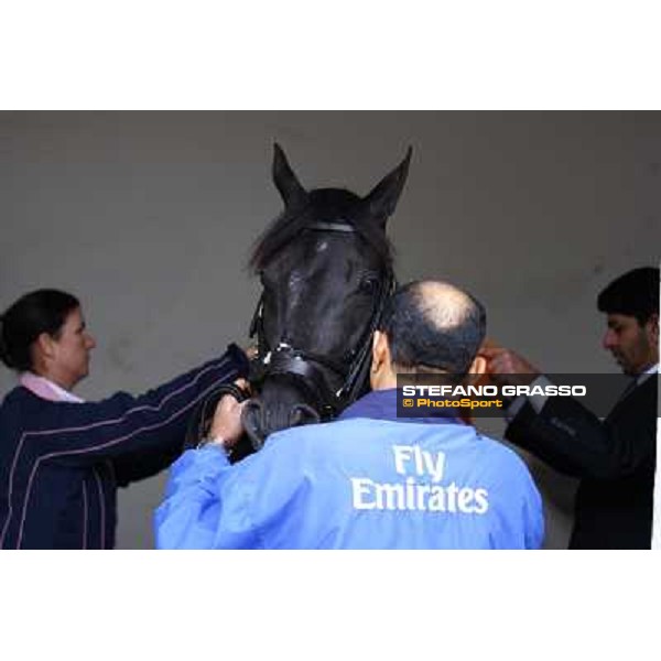 Saeed Bin Suroor prepares Cavalryman before the race Milan - San Siro racetrack, 17th oct. 2010 ph. Stefano Grasso