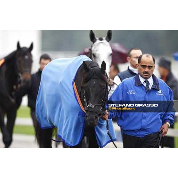Cavalryman with his groom parades before the race Milan - San Siro racetrack, 17th oct. 2010 ph. Stefano Grasso